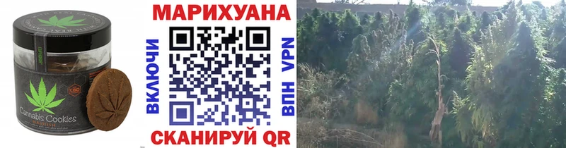Еда ТГК конопля  Унеча 