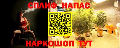 ПСИЛОЦИБИНОВЫЕ ГРИБЫ Кандалакша