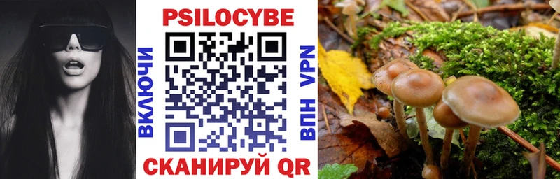 цены   Унеча  Псилоцибиновые грибы Psilocybine cubensis 