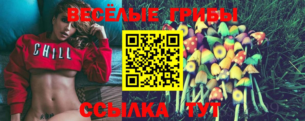 Галлюциногенные грибы Magic Shrooms Унеча