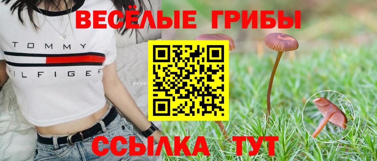 Галлюциногенные грибы мицелий  Унеча  Галлюциногенные грибы прущие грибы 