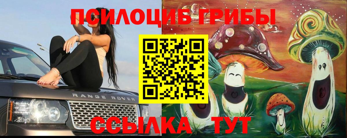 Унеча  даркнет сайт  Вход с VPN  Галлюциногенные грибы Psilocybine cubensis 