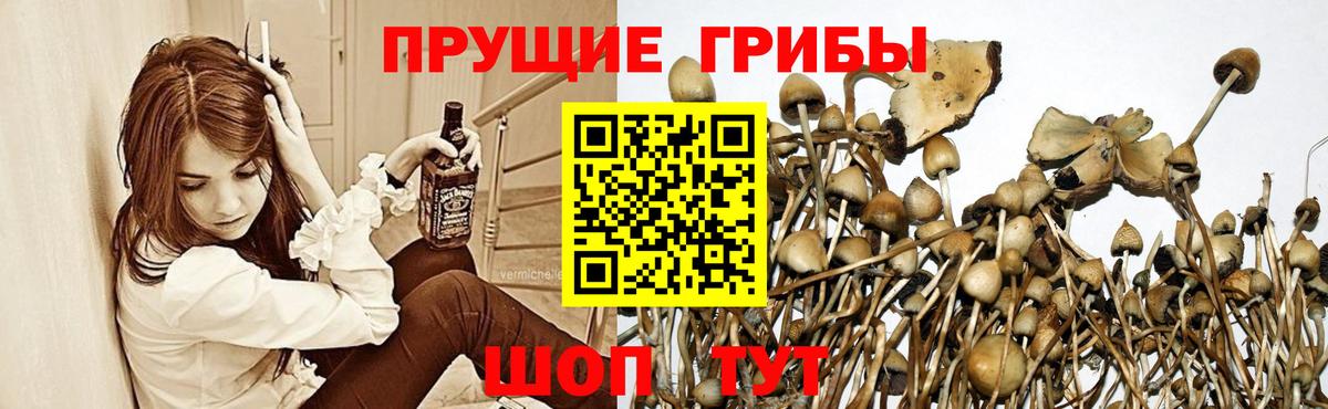 Галлюциногенные грибы Magic Shrooms Унеча